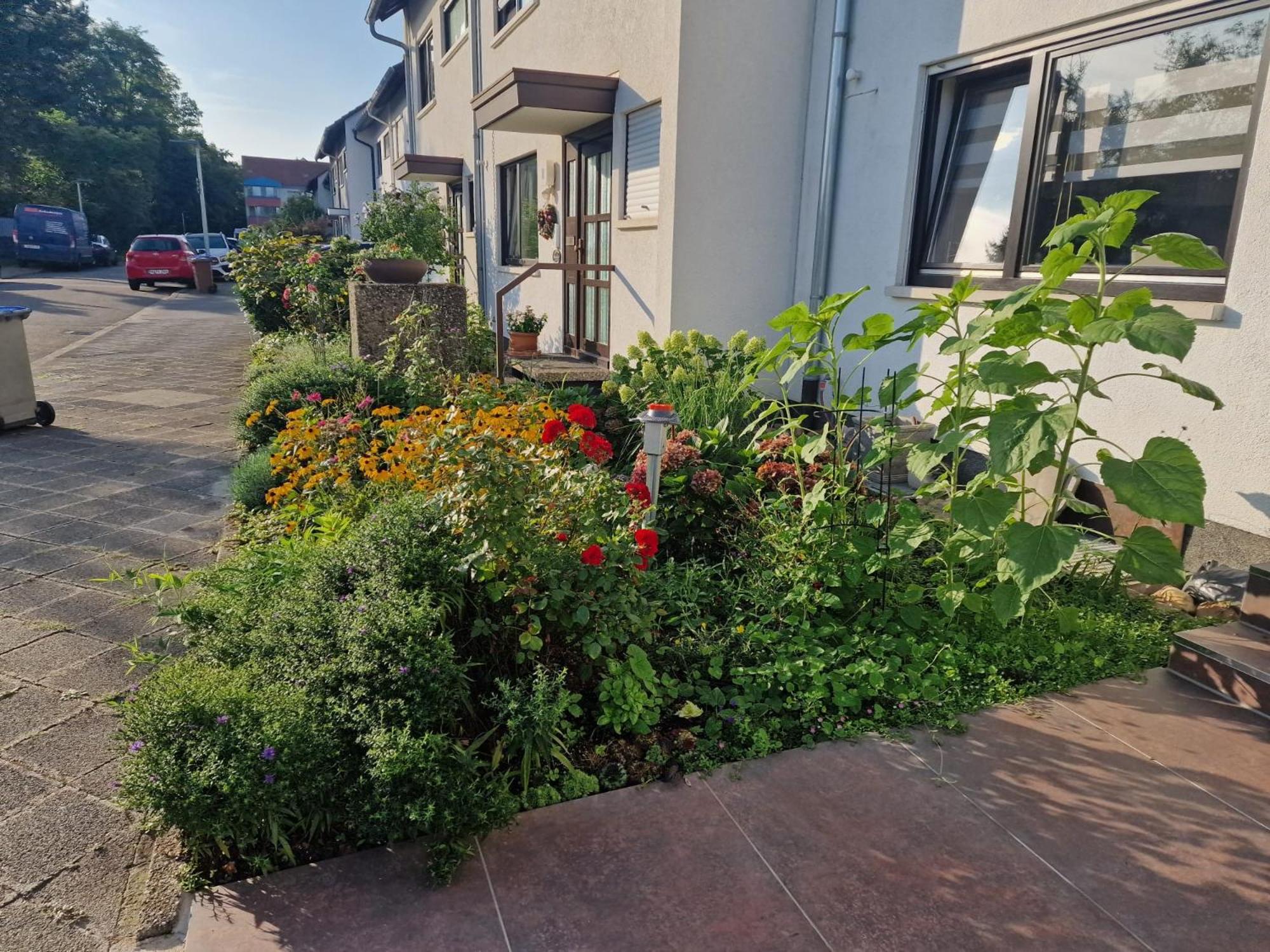 A Special Room In A Private German Style Home Mannheim Exterior photo